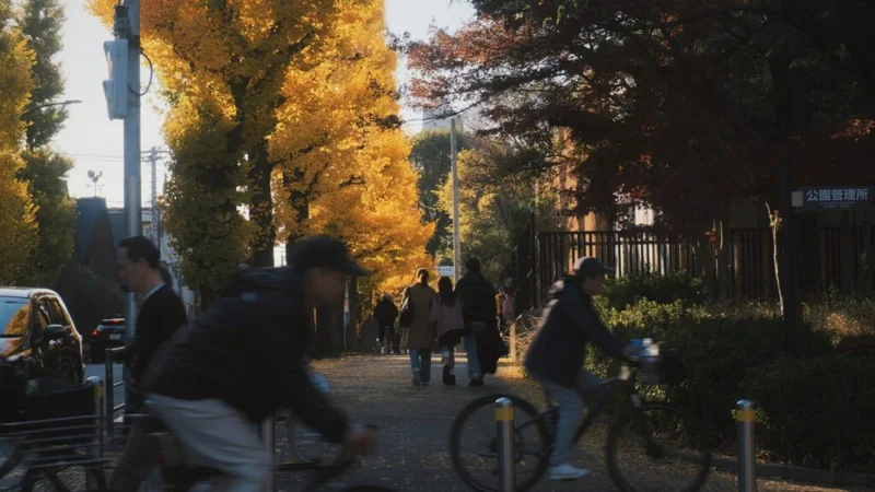 sway form #12 – leafsong 6